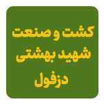 کشت و صنعت شهید بهشتی دزفول
