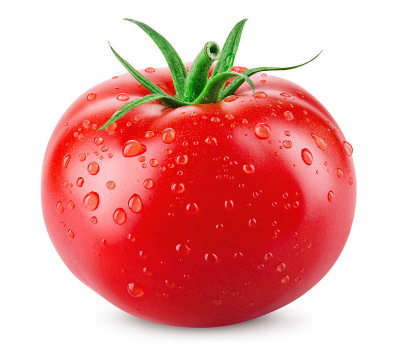 راهنمای تغذیه گوجه فرنگی